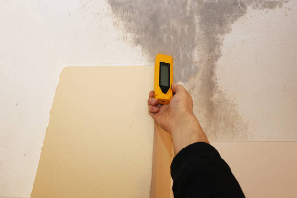 Best Indoor Air Quality Assessment  in Lehi, UT