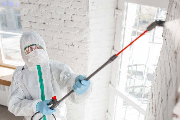 Best Residential Mold Inspection & Testing  in Lehi, UT