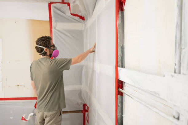 Best Emergency Mold Remediation  in Lehi, UT