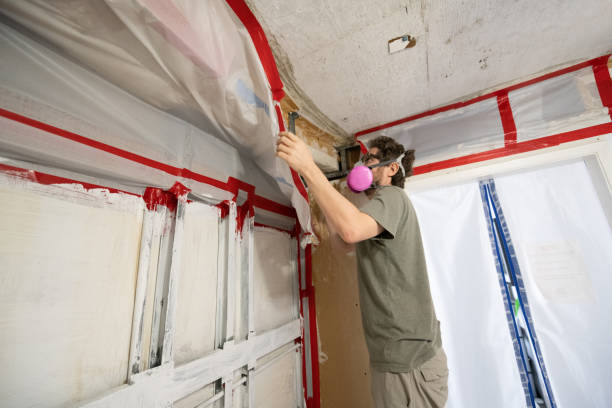 Best Environmental Consulting for Mold Prevention  in Lehi, UT