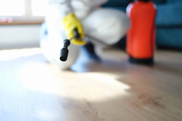 Best Mold Remediation for Healthcare Facilities  in Lehi, UT