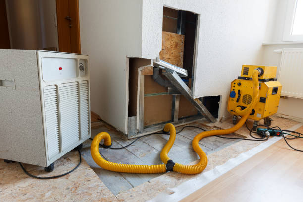  Lehi, UT Mold Removal Pros